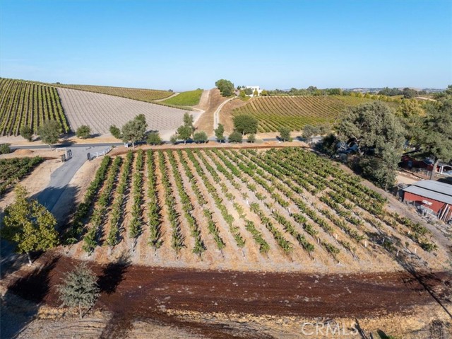 Detail Gallery Image 20 of 65 For 2925 Anderson Rd, Paso Robles,  CA 93446 - 3 Beds | 3/1 Baths