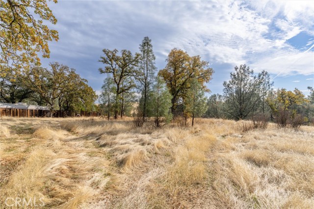 Detail Gallery Image 7 of 29 For 17333 Wagon Wheel Road, Corning,  CA 96021 - – Beds | – Baths