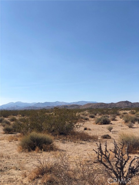 6017 Mojave Ranch, Joshua Tree, CA, 92252 6017 Mojave Ranch, Joshua Tree, CA, 92252