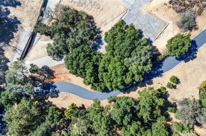 MLS #TR26004015 image #8