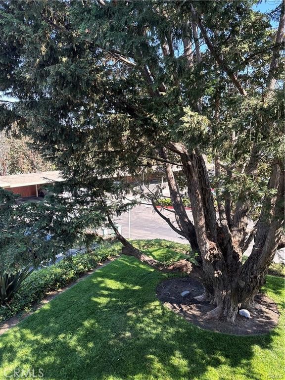432 Edgehill - photo 16