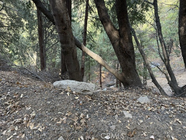 Detail Gallery Image 4 of 16 For 0 Mojave River Rd, Cedarpines Park,  CA 92322 - – Beds | – Baths