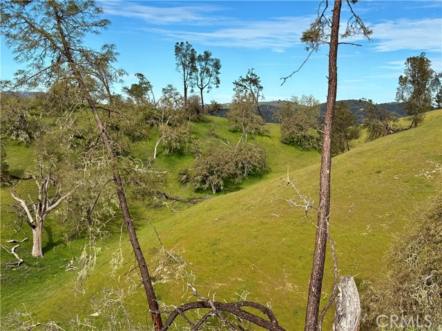 3260 Timberline drive, Paso Robles CA: https://media.crmls.org/medias/355ab433-66b3-4b32-9eb4-3b0471c64619.jpg