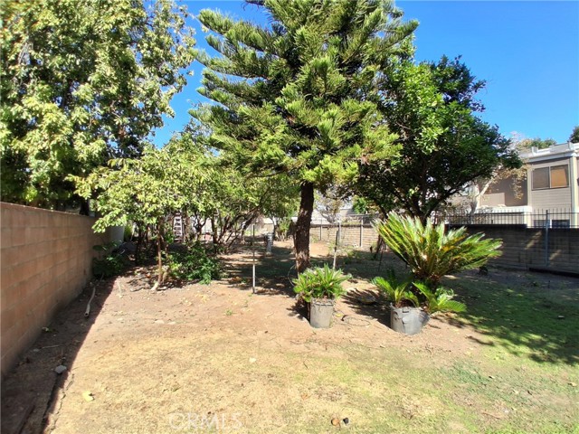 12587 Bradley Avenue photo 34