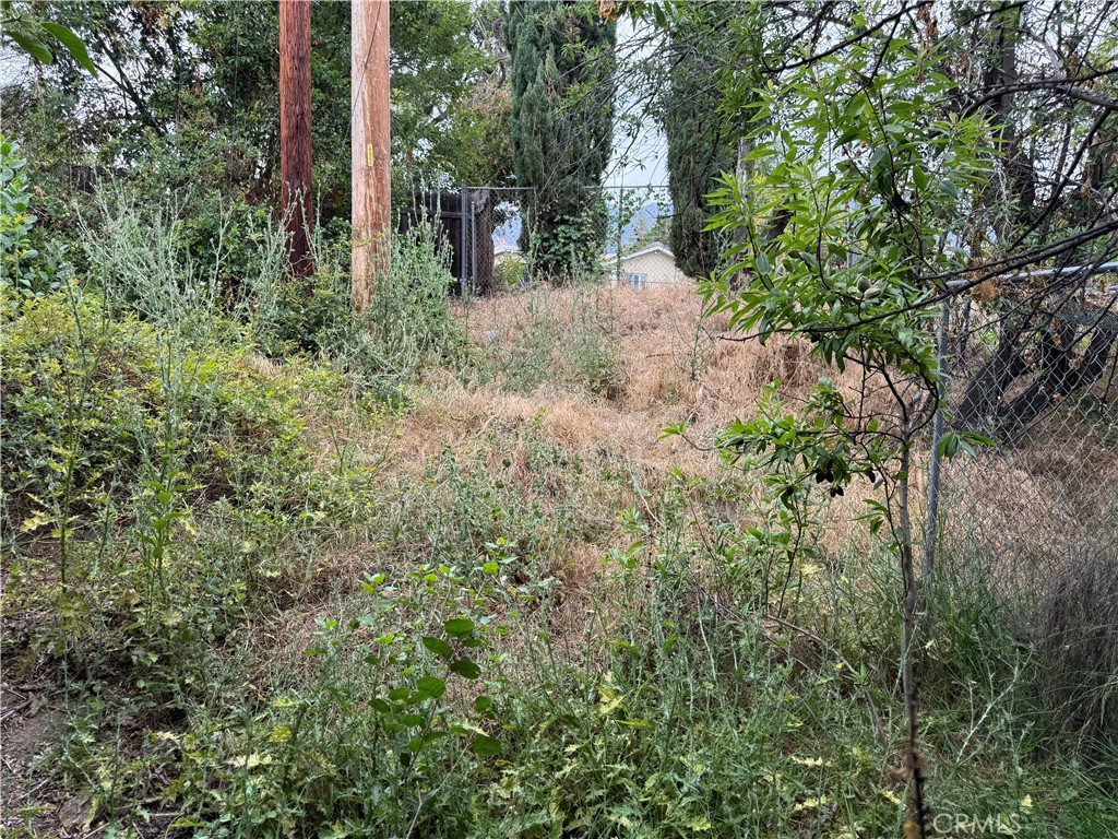 https://media.crmls.org/medias/3561d372-d7e9-460c-90f3-312292ed82d2.jpg?preset=X-Large