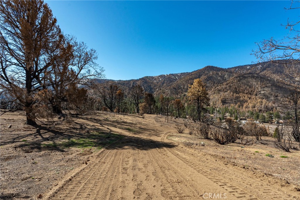 MLS #HD25089115 img 14