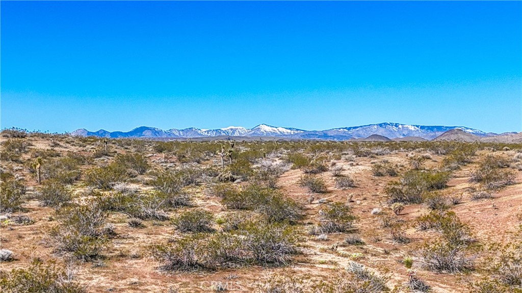 MLS #JT25078936 image #33