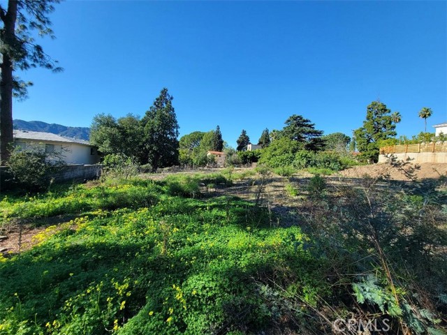 Detail Gallery Image 8 of 9 For 2442 Cross Street, La Crescenta,  CA 91214 - – Beds | – Baths