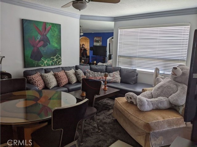 Detail Gallery Image 16 of 71 For 669 Calle Paseo De Las Acacias, –,  – 22847 - 5 Beds | 3/1 Baths