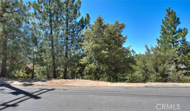 0 St Anton Drive, Lake Arrowhead, California 92352, ,Land,For Sale,0 St Anton Drive,CRCV23153140