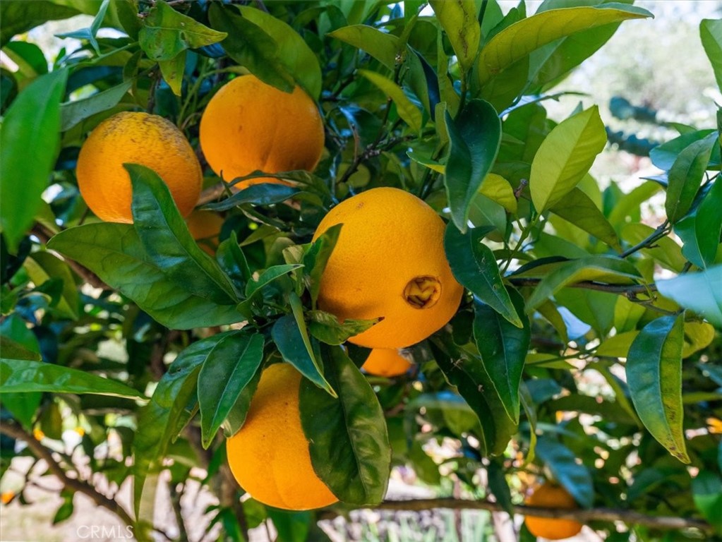https://media.crmls.org/medias/357b3593-9778-4636-96b2-8284d79ce37c.jpg?preset=X-Large