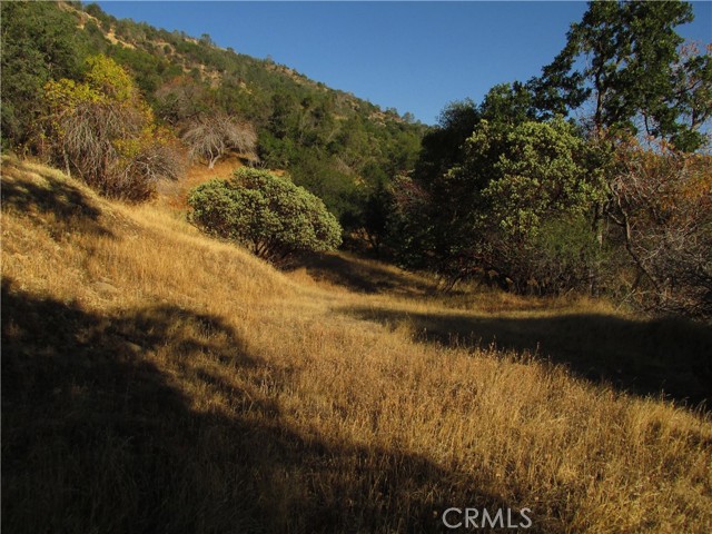 Detail Gallery Image 7 of 54 For 2 Ac Old Oaks Ct, North Fork,  CA 93643 - – Beds | – Baths