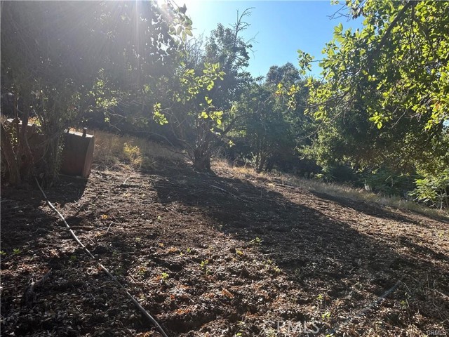 Detail Gallery Image 1 of 7 For 0 Paradise Lane, Topanga,  CA 90290 - – Beds | – Baths