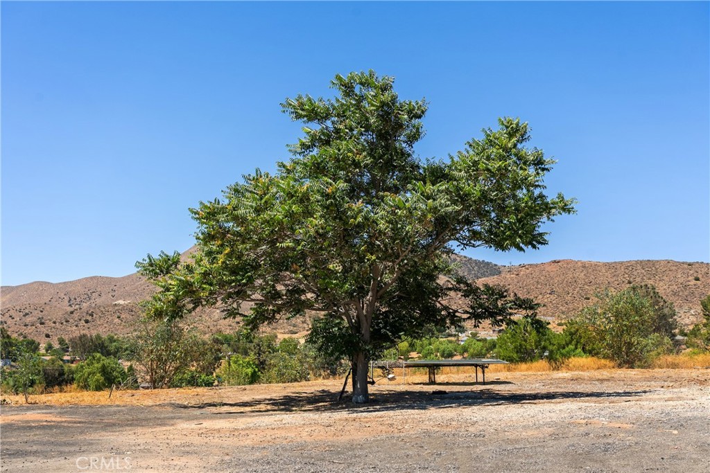 https://media.crmls.org/medias/3588f86f-e76f-41ad-b10b-c1c392ff252c.jpg?preset=X-Large
