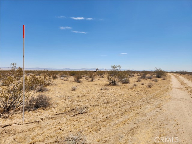 Detail Gallery Image 5 of 9 For 40 Ac Joshua Tree, Joshua Tree,  CA 92252 - – Beds | – Baths