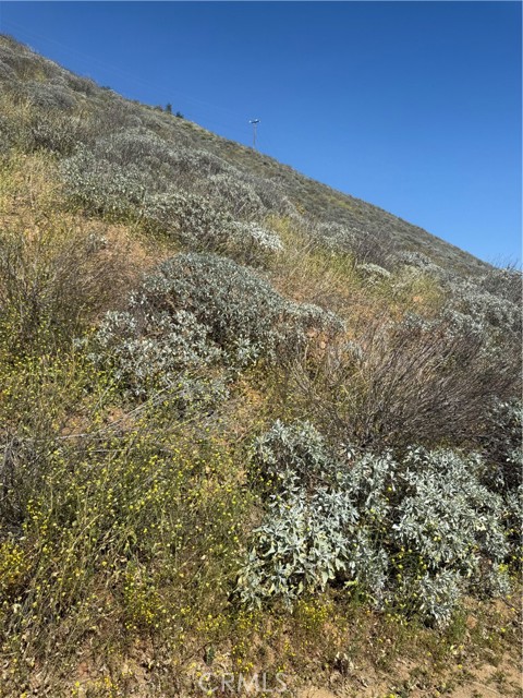 Detail Gallery Image 5 of 8 For 0 Mill St, Lake Elsinore,  CA 92530 - – Beds | – Baths