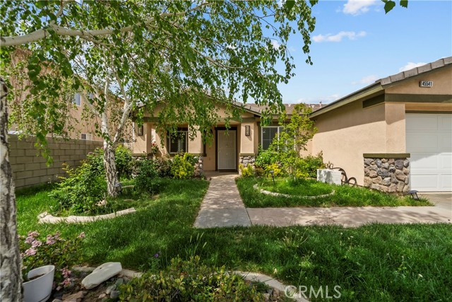 Front Image Thumbnail for CRSR26065051