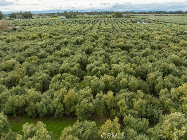 23265 Viola Avenue, Corning, California 96021, ,Land,For Sale,23265 Viola Avenue,CRSN24050019