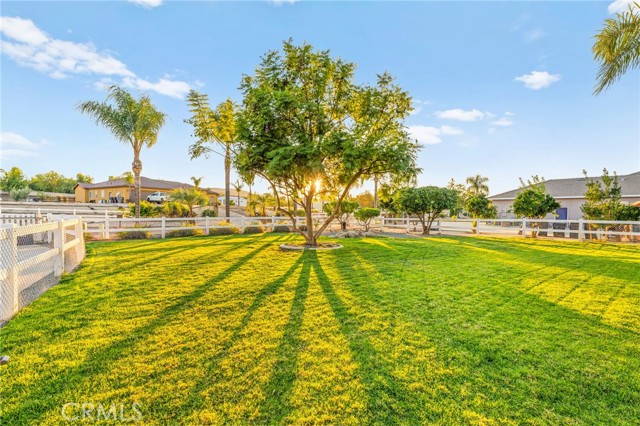 MLS #SW25265687 image #5