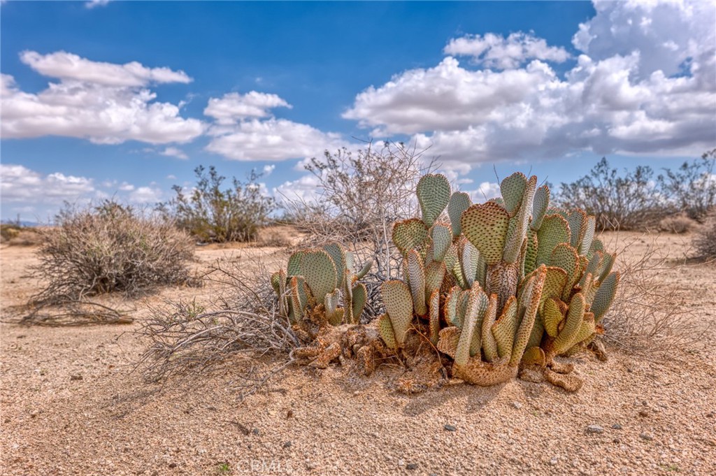 MLS #JT25253211 image #2