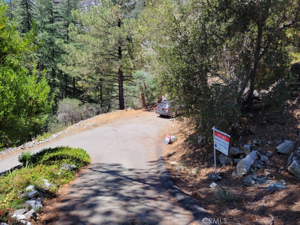 6820 Goat Hill Road, Mt Baldy, CA 91759