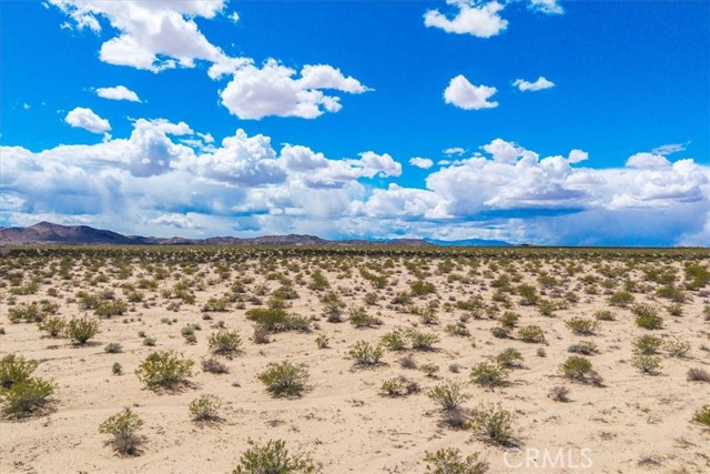 Detail Gallery Image 8 of 26 For 62 Lucille Ln, Joshua Tree,  CA 92252 - – Beds | – Baths