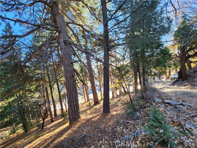 0 Lovers Lane, Rimforest CA: https://media.crmls.org/medias/35ba5951-9605-4780-84f1-34b2c9988227.jpg