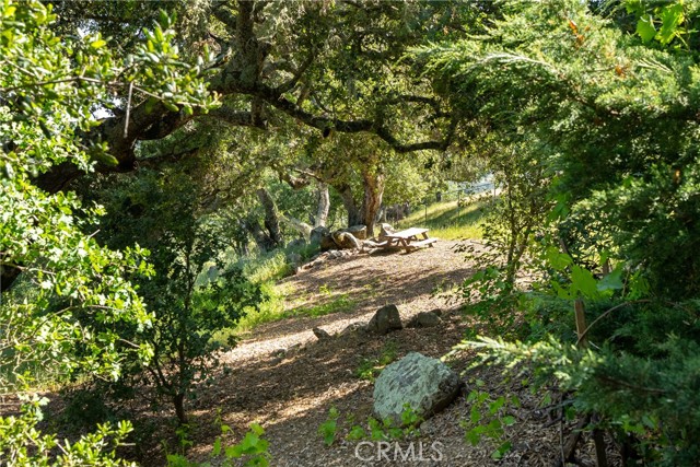 Detail Gallery Image 53 of 63 For 10885 San Marcos Rd, Atascadero,  CA 93422 - 4 Beds | 3/1 Baths