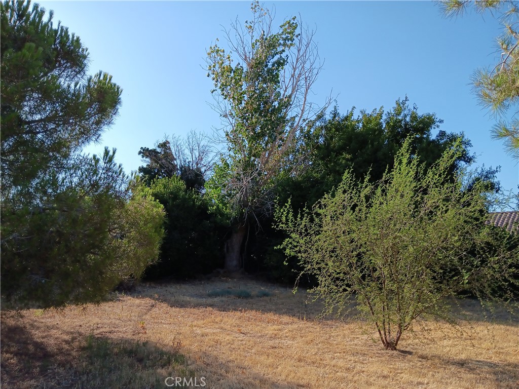 MLS #SR25235317 image #12