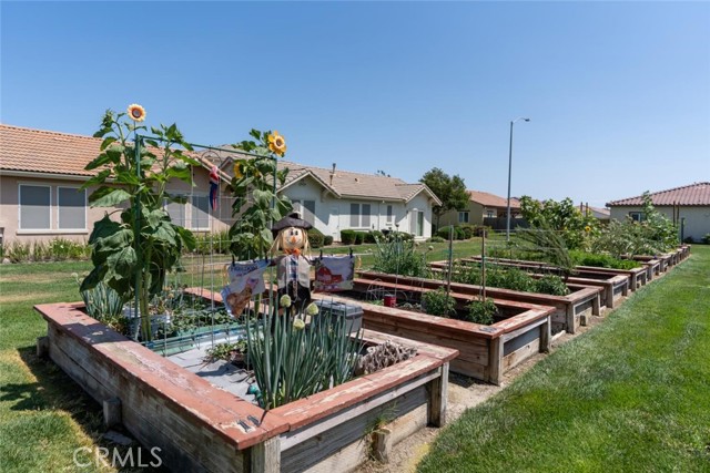 860 Fritz Drive, Los Banos CA: https://media.crmls.org/medias/35c685a3-be41-4f17-bdf0-96038d3b14ea.jpg