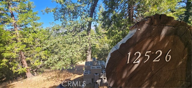 Detail Gallery Image 2 of 25 For 25126 Jewel Dr, Crestline,  CA 92325 - – Beds | – Baths