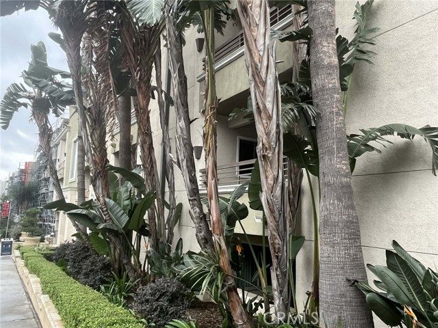 Detail Gallery Image 5 of 10 For 7230 Franklin Ave, Los Angeles,  CA 90046 - – Beds | – Baths