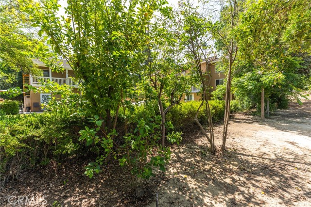 1377 Knoll Road, Redlands CA: https://media.crmls.org/medias/35cfe79d-83e6-451e-a41f-f58c6edd6572.jpg