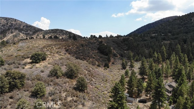 5419 Pacific Crest Drive, Wrightwood CA: https://media.crmls.org/medias/35d348ae-c2a2-45c1-91f1-805abccff58e.jpg