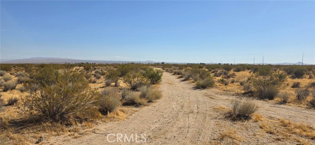 Front Image Thumbnail for CRSR26231285
