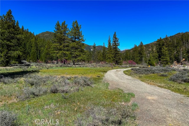 Detail Gallery Image 29 of 35 For 79402 State Highway 3, Trinity Center,  CA 96091 - – Beds | – Baths