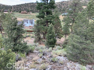 0 Ponderosa, Big Bear City, California 92314, ,Land,For Sale,0 Ponderosa,CROC20150732