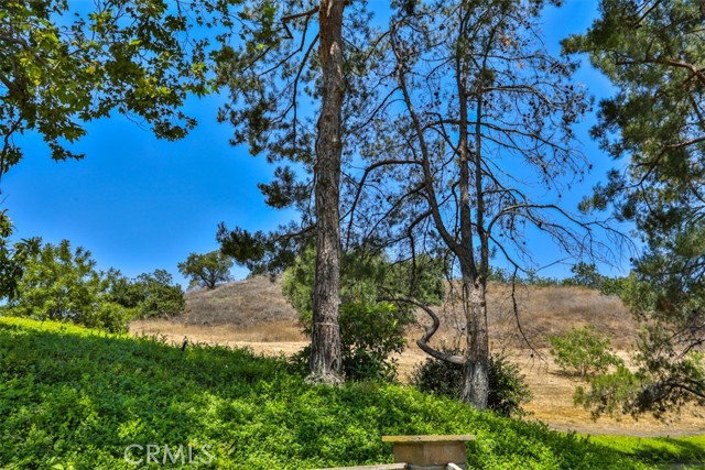 Detail Gallery Image 60 of 67 For 1921 Avenida Monte Vista, San Dimas,  CA 91773 - 3 Beds | 2 Baths