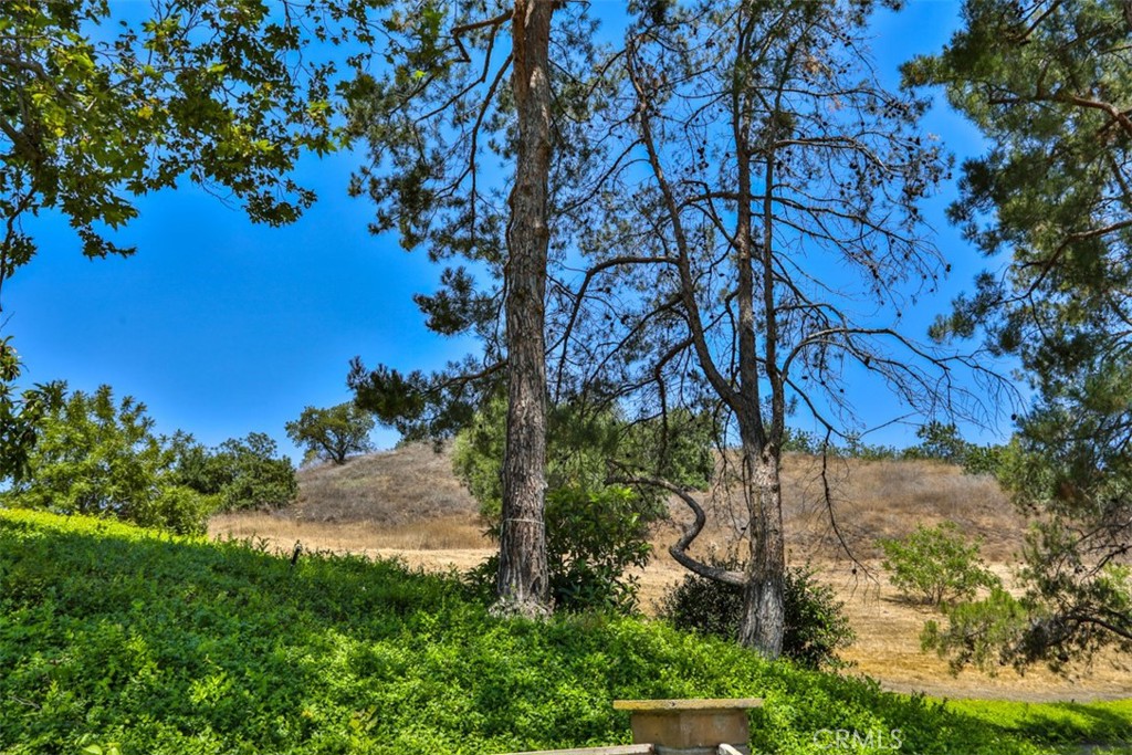 https://media.crmls.org/medias/35e6ba72-738c-496e-9315-d2484ff3d23a.jpg?preset=X-Large
