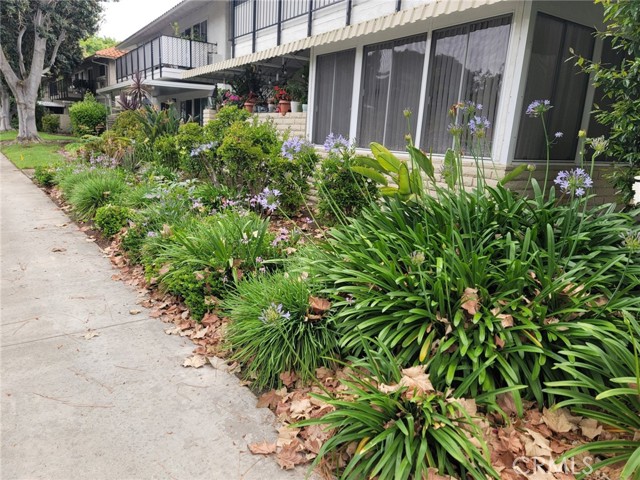 2113 VIA PUERTA, Laguna Woods CA: https://media.crmls.org/medias/35e770a1-bdde-4751-bf0e-fa83c7380959.jpg