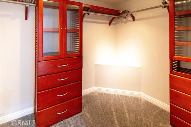 Downstairs walk in closet