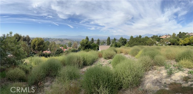 3121 Steeplechase Lane, Diamond Bar, California 91765, ,Land,For Sale,3121 Steeplechase Lane,CRTR23192110