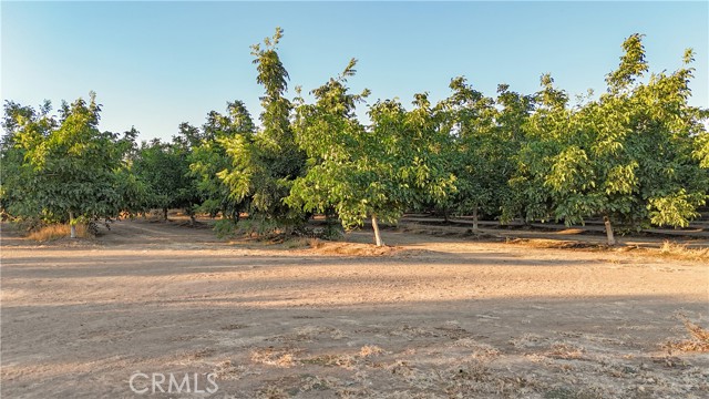 Detail Gallery Image 13 of 22 For 1557 E Gerard, Merced,  CA 95341 - – Beds | – Baths