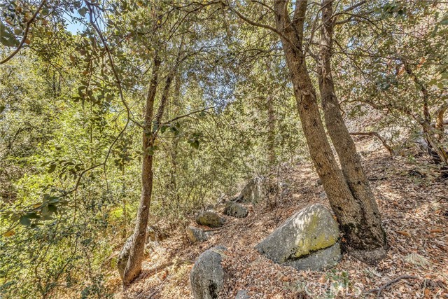 25405 Point Of Rocks Drive, Idyllwild CA: https://media.crmls.org/medias/35f6ef8e-9f8c-4ad8-89f3-63878b9b9f86.jpg