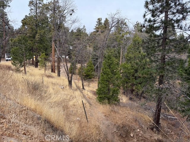 Detail Gallery Image 7 of 11 For 31551 Wagon Wheel Dr, Running Springs,  CA 92382 - 4 Beds | 3 Baths