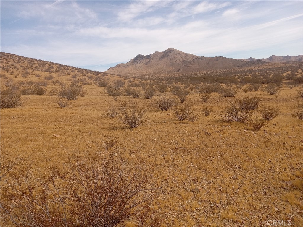 MLS #DW25020276 image #2