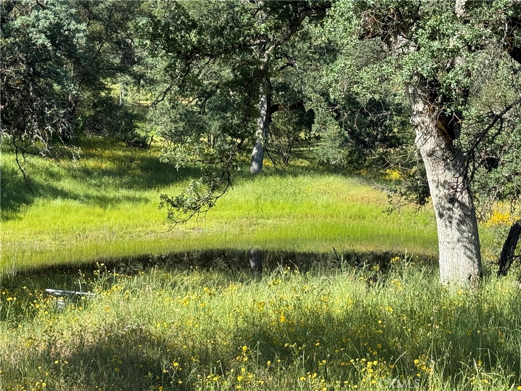 https://media.crmls.org/medias/360027e2-9c77-4cdf-8178-e8fc8123bc64.jpg?preset=X-Large