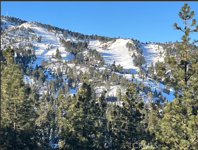 Detail Gallery Image 17 of 56 For 1536 Wolf, –,  CA 92314 - 3 Beds | 2/1 Baths