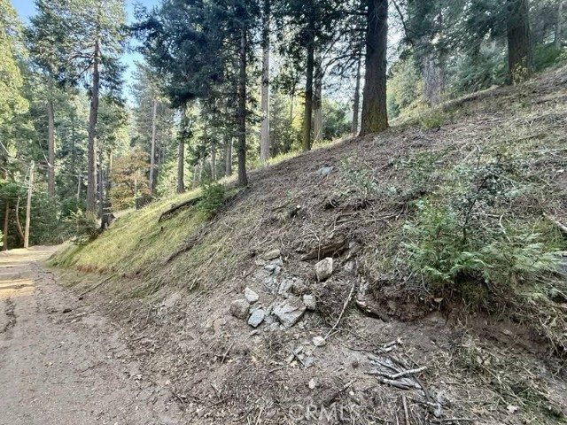0 Burnt Mill Canyon Road, Cedarpines Park CA: https://media.crmls.org/medias/36048560-5f6f-41a8-a542-ec404bfab0f5.jpg