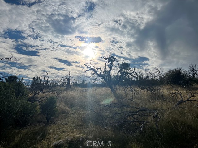 Detail Gallery Image 9 of 69 For 4934 Guadalupe Fire, Catheys Valley,  CA 95306 - – Beds | – Baths